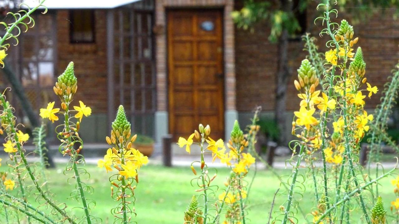 Chalet Agua Que Brilla Mina Clavero